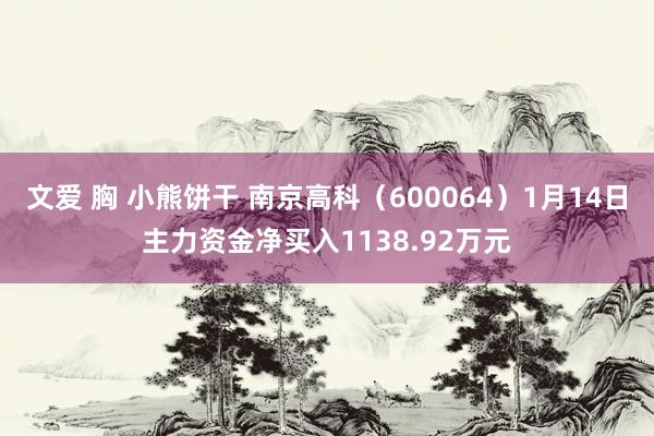 文爱 胸 小熊饼干 南京高科（600064）1月14日主力资金净买入1138.92万元