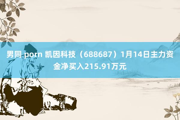 男同 porn 凯因科技（688687）1月14日主力资金净买入215.91万元