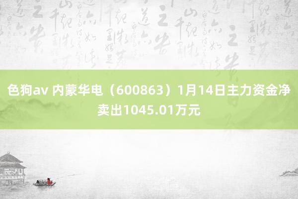 色狗av 内蒙华电（600863）1月14日主力资金净卖出1045.01万元