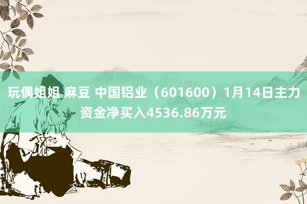 玩偶姐姐 麻豆 中国铝业（601600）1月14日主力资金净买入4536.86万元