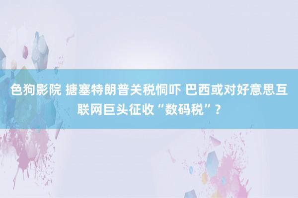 色狗影院 搪塞特朗普关税恫吓 巴西或对好意思互联网巨头征收“数码税”？