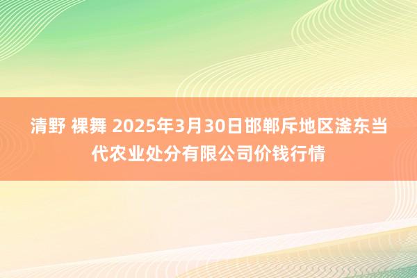 清野 裸舞 2025年3月30日邯郸斥地区滏东当代农业处分有限公司价钱行情