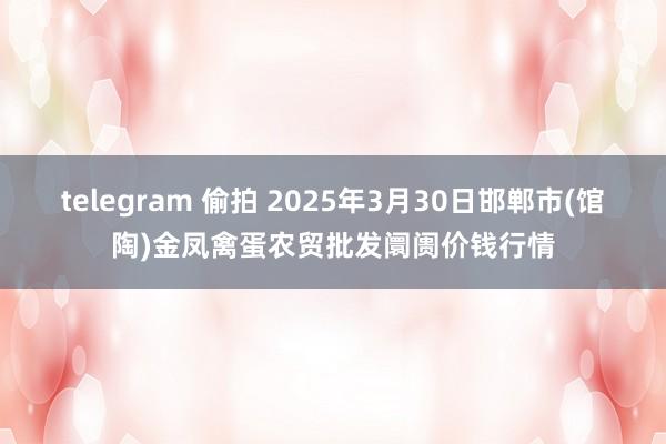 telegram 偷拍 2025年3月30日邯郸市(馆陶)金凤禽蛋农贸批发阛阓价钱行情
