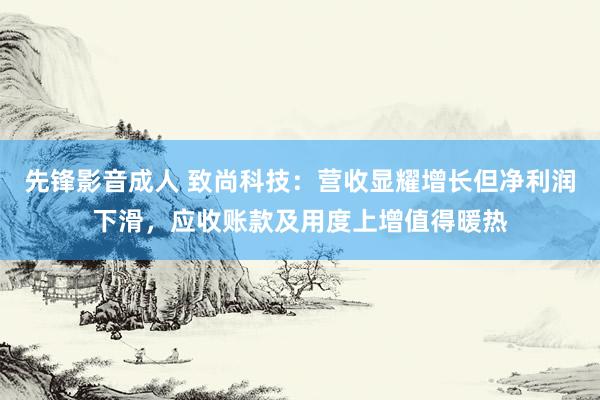 先锋影音成人 致尚科技：营收显耀增长但净利润下滑，应收账款及用度上增值得暖热