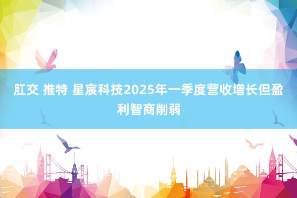 肛交 推特 星宸科技2025年一季度营收增长但盈利智商削弱