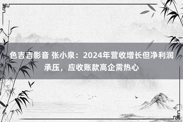 色吉吉影音 张小泉：2024年营收增长但净利润承压，应收账款高企需热心