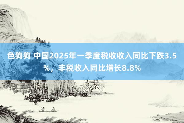 色狗狗 中国2025年一季度税收收入同比下跌3.5%，非税收入同比增长8.8%