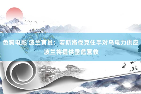 色狗电影 波兰官员：若斯洛伐克住手对乌电力供应 波兰将提供垂危营救
