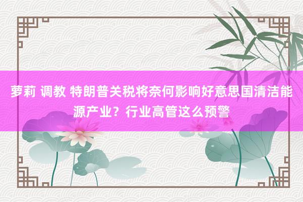 萝莉 调教 特朗普关税将奈何影响好意思国清洁能源产业？行业高管这么预警