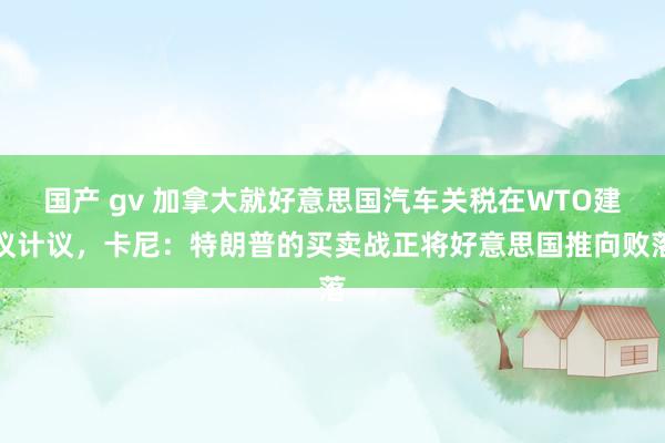 国产 gv 加拿大就好意思国汽车关税在WTO建议计议，卡尼：特朗普的买卖战正将好意思国推向败落