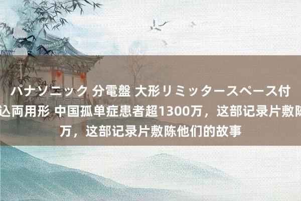 パナソニック 分電盤 大形リミッタースペース付 露出・半埋込両用形 中国孤单症患者超1300万，这部记录片敷陈他们的故事