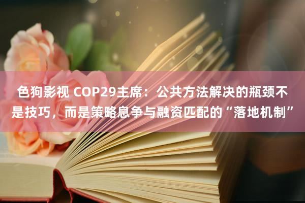 色狗影视 COP29主席：公共方法解决的瓶颈不是技巧，而是策略息争与融资匹配的“落地机制”