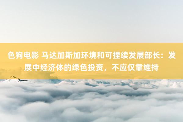 色狗电影 马达加斯加环境和可捏续发展部长：发展中经济体的绿色投资，不应仅靠维持