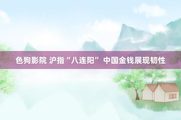 色狗影院 沪指“八连阳” 中国金钱展现韧性