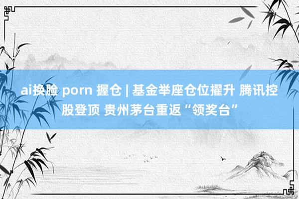 ai换脸 porn 握仓 | 基金举座仓位擢升 腾讯控股登顶 贵州茅台重返“领奖台”