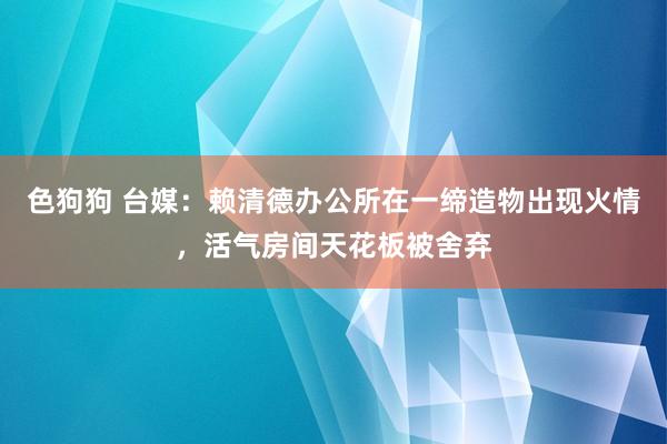 色狗狗 台媒：赖清德办公所在一缔造物出现火情，活气房间天花板被舍弃