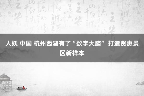 人妖 中国 杭州西湖有了“数字大脑” 打造贤惠景区新样本