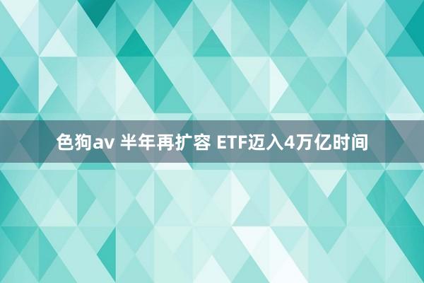 色狗av 半年再扩容 ETF迈入4万亿时间
