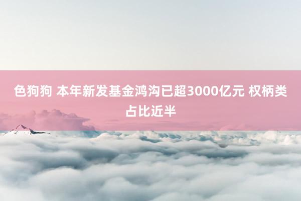 色狗狗 本年新发基金鸿沟已超3000亿元 权柄类占比近半